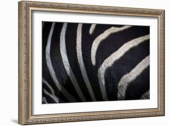 Hide III-SD Smart-Framed Photographic Print