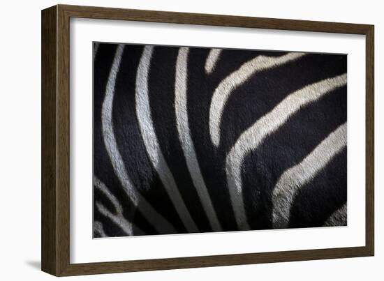 Hide III-SD Smart-Framed Photographic Print