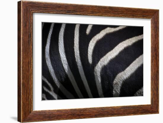 Hide III-SD Smart-Framed Photographic Print