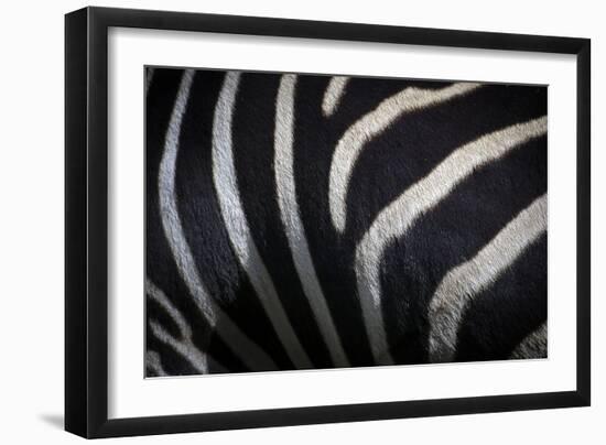 Hide III-SD Smart-Framed Photographic Print