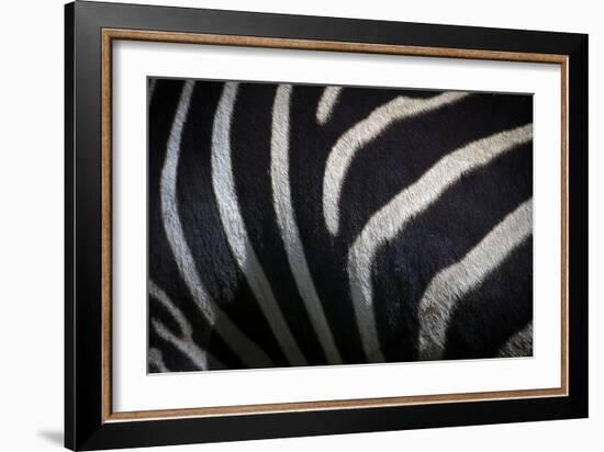 Hide III-SD Smart-Framed Photographic Print