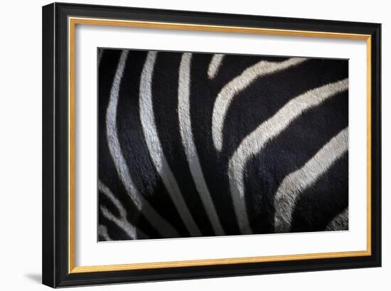 Hide III-SD Smart-Framed Photographic Print