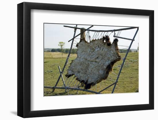 Hide Stretched on Native American Tanning Frame, North Dakota-Angel Wynn-Framed Photographic Print