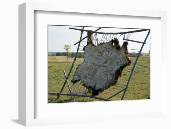 Hide Stretched on Native American Tanning Frame, North Dakota-Angel Wynn-Framed Photographic Print