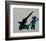 Hide-Banksy-Framed Art Print