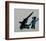 Hide-Banksy-Framed Art Print