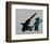 Hide-Banksy-Framed Giclee Print