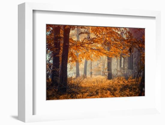 Hideaway-Ildiko Neer-Framed Photographic Print