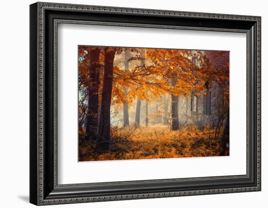 Hideaway-Ildiko Neer-Framed Photographic Print