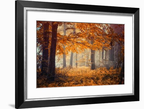 Hideaway-Ildiko Neer-Framed Photographic Print