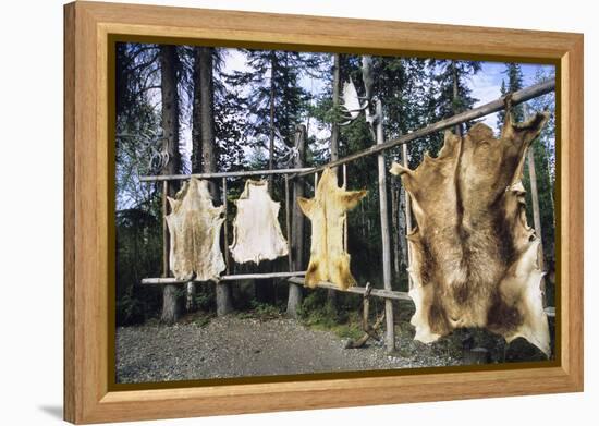 Hides Stretched over Wooden Racks for Tanning. Alaska (PR)-Angel Wynn-Framed Premier Image Canvas