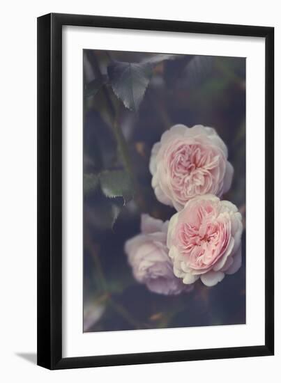 Hiding Blooms-Sarah Gardner-Framed Art Print