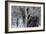 Hiding Moose-Brenda Petrella Photography LLC-Framed Giclee Print