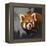Hiding Out-Joh Naito-Framed Premier Image Canvas