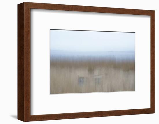 Hiding Place-Jacob Berghoef-Framed Photographic Print