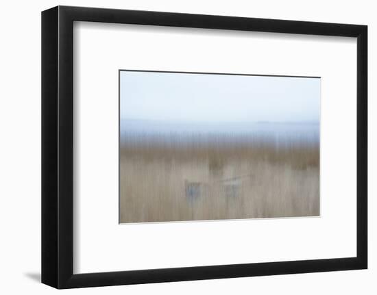 Hiding Place-Jacob Berghoef-Framed Photographic Print