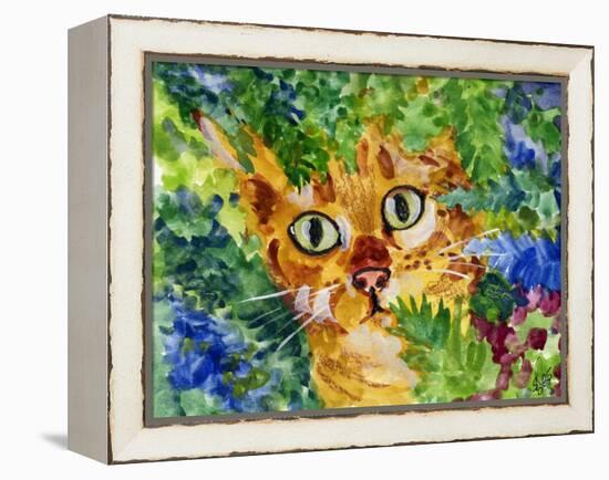 Hiding Tabby Cat-sylvia pimental-Framed Stretched Canvas