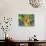 Hiding Tabby Cat-sylvia pimental-Art Print displayed on a wall