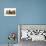 Hiding With Teddy Bears-Nancy Tillman-Premium Giclee Print displayed on a wall