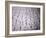 Hieroglyphics in the Interior of the Pyramid of Unas, Sakkara (Saqqarah), Egypt, Africa-Richard Ashworth-Framed Photographic Print