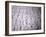 Hieroglyphics in the Interior of the Pyramid of Unas, Sakkara (Saqqarah), Egypt, Africa-Richard Ashworth-Framed Photographic Print