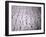 Hieroglyphics in the Interior of the Pyramid of Unas, Sakkara (Saqqarah), Egypt, Africa-Richard Ashworth-Framed Photographic Print