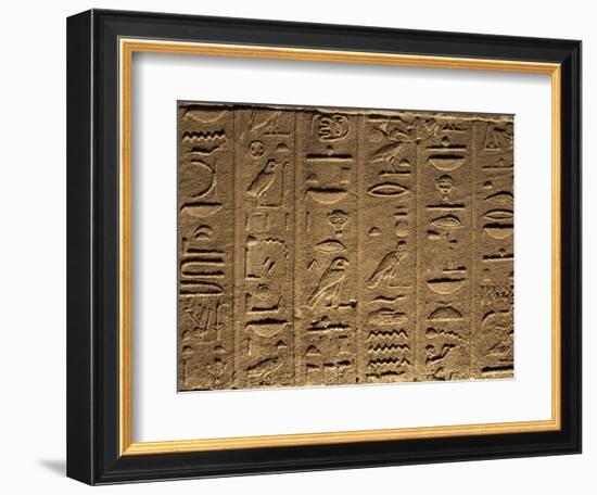 Hieroglyphs Adorn the Walls of the Temple of Philae, UNESCO World Heritage Site, Near Aswan, Egypt-Mcconnell Andrew-Framed Photographic Print