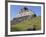 Hieroglyphs on Wall Facade of El Castillo Pyramid, Xunantunich Ancient Site, Cayo District, Belize-William Sutton-Framed Photographic Print