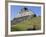 Hieroglyphs on Wall Facade of El Castillo Pyramid, Xunantunich Ancient Site, Cayo District, Belize-William Sutton-Framed Photographic Print