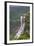 Hierve El Agua Natural Spring Water, Oaxaca, Mexico-Brent Bergherm-Framed Photographic Print