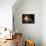 Higgs Boson, Conceptual Artwork-PASIEKA-Framed Premier Image Canvas displayed on a wall