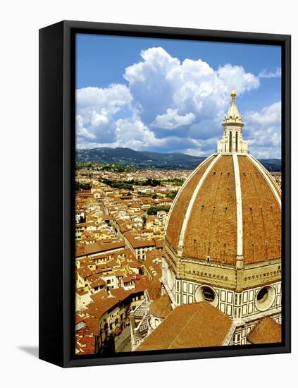 High Angle View of a Cathedral, Duomo Santa Maria Del Fiore, Florence, Tuscany, Italy-Miva Stock-Framed Premier Image Canvas