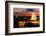 High angle view of a city lit up at dusk, Washington DC, USA-null-Framed Photographic Print