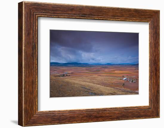 High angle view of a field, Consuegra, Toledo Province, Castilla La Mancha, Spain-null-Framed Photographic Print