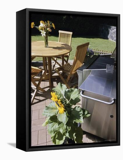High Angle View of a Potted Plant Near a Barbecue Grill-null-Framed Premier Image Canvas