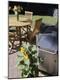 Premium Photographic Print