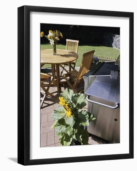 High Angle View of a Potted Plant Near a Barbecue Grill-null-Framed Photographic Print