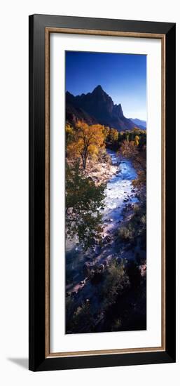 High Angle View of a River Flowing Through a Forest, Virgin River, Zion National Park, Utah, USA-null-Framed Photographic Print