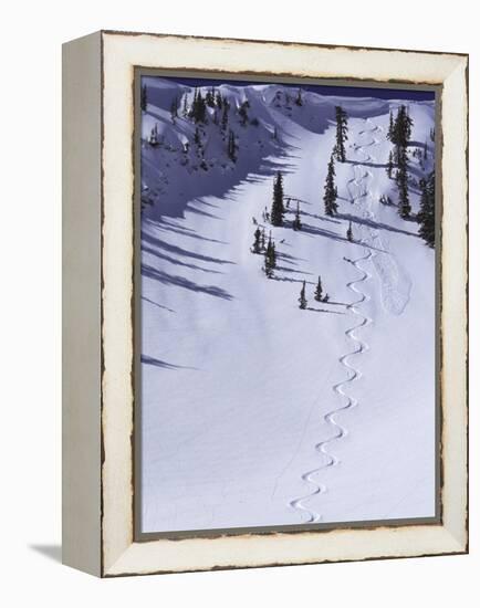 High Angle View of a Ski Slope-null-Framed Premier Image Canvas