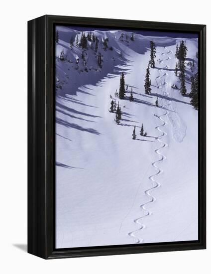 High Angle View of a Ski Slope-null-Framed Premier Image Canvas