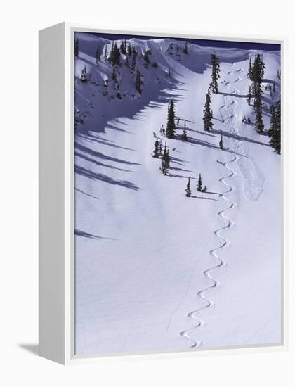 High Angle View of a Ski Slope-null-Framed Premier Image Canvas