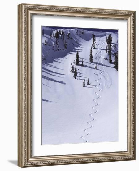 High Angle View of a Ski Slope-null-Framed Photographic Print