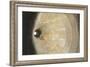 High Angle View of a Well, Sardinia, Italy-null-Framed Photographic Print
