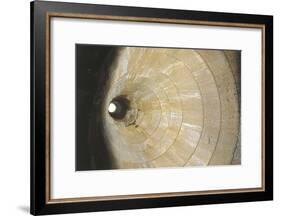 High Angle View of a Well, Sardinia, Italy-null-Framed Photographic Print