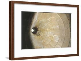 High Angle View of a Well, Sardinia, Italy-null-Framed Photographic Print