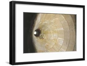 High Angle View of a Well, Sardinia, Italy-null-Framed Photographic Print