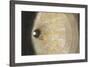 High Angle View of a Well, Sardinia, Italy-null-Framed Photographic Print
