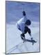 Premium Photographic Print