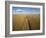 High angle view of combine harvesting corn crop, Marion County, Illinois, USA-Panoramic Images-Framed Photographic Print