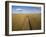 High angle view of combine harvesting corn crop, Marion County, Illinois, USA-Panoramic Images-Framed Photographic Print